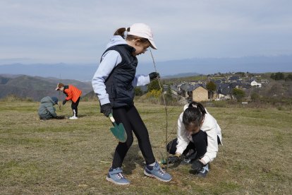 Iniciativa 'Guardianes del Bosque', con la plantación de árboles en zonas afectadas por los incendios en el Bierzo