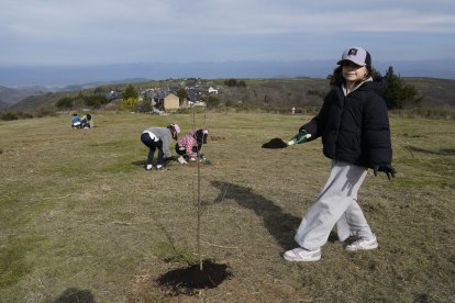 Iniciativa 'Guardianes del Bosque', con la plantación de árboles en zonas afectadas por los incendios en el Bierzo