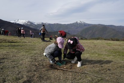 Iniciativa 'Guardianes del Bosque', con la plantación de árboles en zonas afectadas por los incendios en el Bierzo