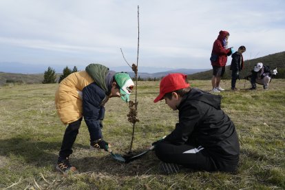 Iniciativa 'Guardianes del Bosque', con la plantación de árboles en zonas afectadas por los incendios en el Bierzo