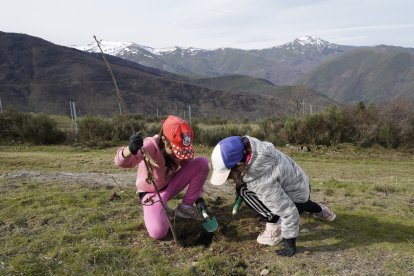 Iniciativa 'Guardianes del Bosque', con la plantación de árboles en zonas afectadas por los incendios en el Bierzo
