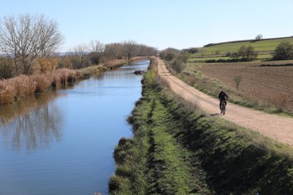 El Canal de Castilla, la gran ruta del interior que impulsa el turismo activo en Palencia, sirga del canal en la zona de Grijota