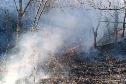 Incendio en el municipio de Igüeña (León)