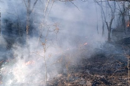 Incendio en el municipio de Igüeña (León)