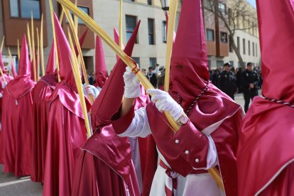 Procesión de 'La Borrriquita' en Zamora del Domingo de Ramos en Zamora