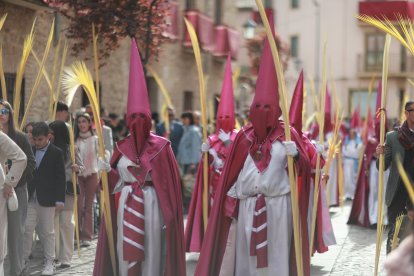 Procesión de 'La Borrriquita' en Zamora del Domingo de Ramos en Zamora