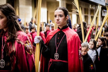 Procesión de las Palmas en Soria del Domingo de Ramos en Soria