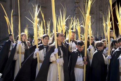 Procesión de Las Palmas del Domingo de Ramos en Salamanca