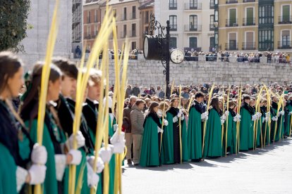 Procesión de las Palmas del Domingo de Ramos en Valladolid