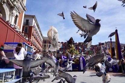 Celebración de la procesión del Encuentro de Jesús Resucitado con la Virgen de la Alegría de la Semana Santa de Valladolid.