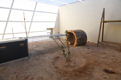 La Junta invierte 574.000 euros en nuevas infraestructuras para reforzar el programa de reintroducción del lince ibérico en Castilla y León.