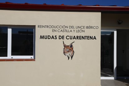 La Junta invierte 574.000 euros en nuevas infraestructuras para reforzar el programa de reintroducción del lince ibérico en Castilla y León.