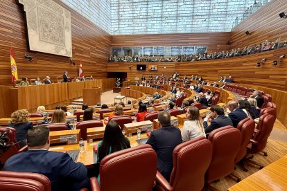 Un momento de la sesión constitutiva de las Cortes de Castilla y León.