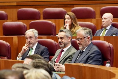 Un momento de la sesión constitutiva de las Cortes de Castilla y León.