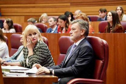 Un momento de la sesión constitutiva de las Cortes de Castilla y León.