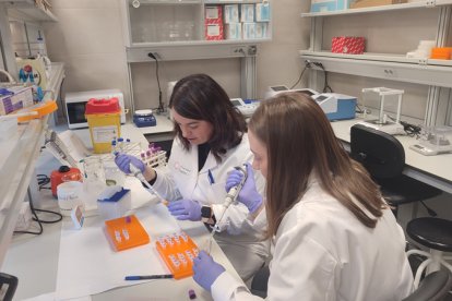 Dos profesoras preparan una práctica en uno de los laboratorios de la Ui1.
