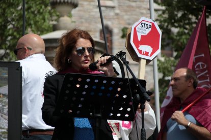 León acoge el V Camino a la Libertad organizado por Conceyu País Llionés y Xuntanza Llionesista