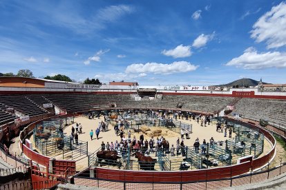 Feria de Ganado Vacuno en el Espinar en ediciones anteriores