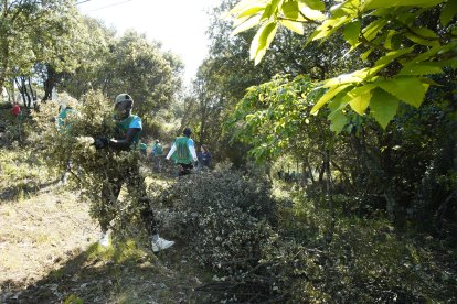 Participantes durante la jornada de trabajo ambiental impulsada por Imagine Planet.