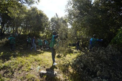 Una jornada de trabajo conjunto entre entidades, vecinos y voluntariado.