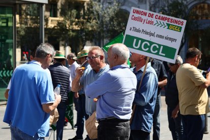 Concentración y manifestación de las Opas para exigir apoyos para garantizar el futuro del campo