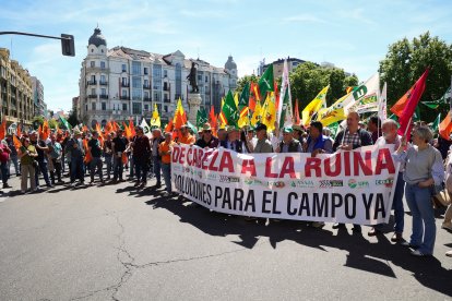 Concentración y manifestación de las Opas para exigir apoyos para garantizar el futuro del campo