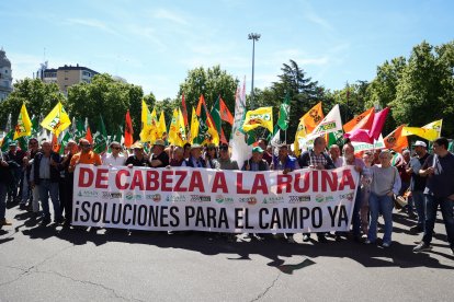 Concentración y manifestación de las Opas para exigir apoyos para garantizar el futuro del campo