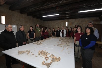 Equipo de profesionales que trabaja en el yacimiento