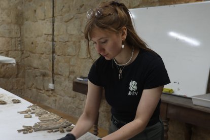 Equipo de profesionales que trabaja en el yacimiento de la catdral de Palencia