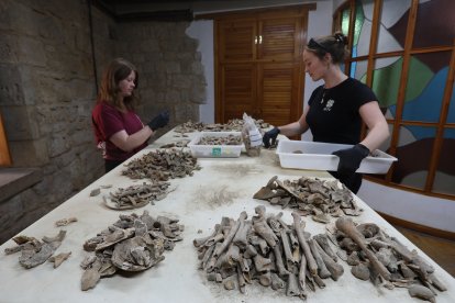 Equipo de profesionales que trabaja en el yacimiento de la catdral de Palencia