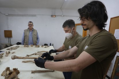 Equipo de profesionales que trabaja en el yacimiento de la catdral de Palencia