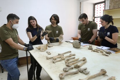 Equipo de profesionales que trabaja en el yacimiento de la catdral de Palencia