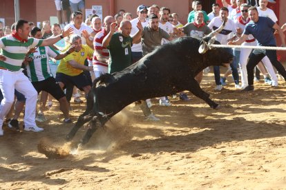 Salida del Toro Enmaromado de Benavente