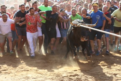 Salida del Toro Enmaromado de Benavente
