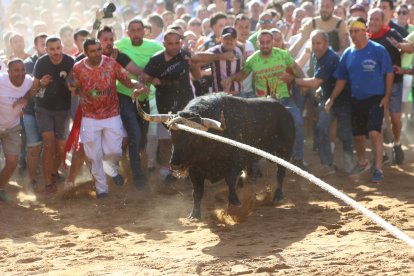Salida del Toro Enmaromado de Benavente