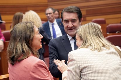 Instantes del pleno de investidura en las Cortes de Castilla y León.