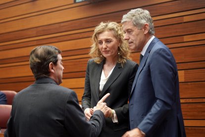 Instantes del pleno de investidura en las Cortes de Castilla y León.