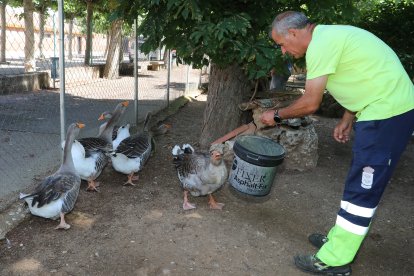 Reapertura del zoo de Aves en Herrera de Pisuerga (Palencia)