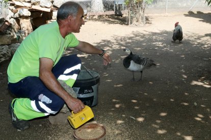 Reapertura del zoo de Aves en Herrera de Pisuerga (Palencia)