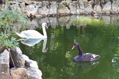Reapertura del zoo de Aves en Herrera de Pisuerga (Palencia)