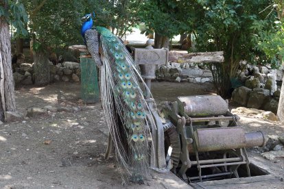 Reapertura del zoo de Aves en Herrera de Pisuerga (Palencia)