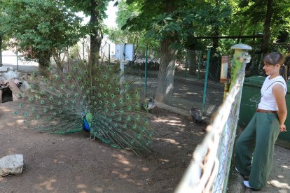 Reapertura del zoo de Aves en Herrera de Pisuerga (Palencia)