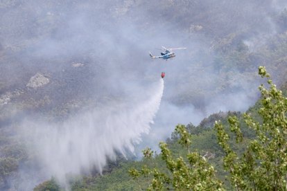 Labores de extinción de un incendio forestal originado esta madrugada en Valdepiélago (León).