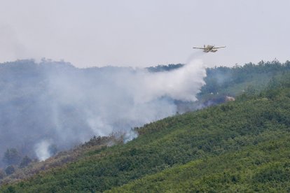 Labores de extinción de un incendio forestal originado esta madrugada en Valdepiélago (León).