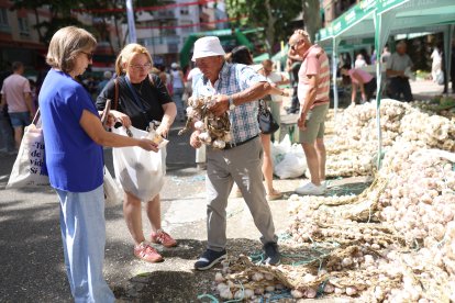 Inauguración de la feria del ajo en Zamora.