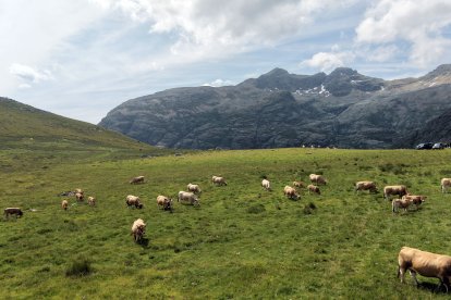 Valle de Pineda en la Montaña Palentina.