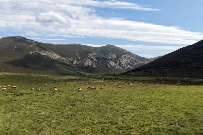 Valle de Pineda en la Montaña Palentina.