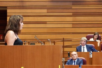Patricia Gómez interviene durante el pleno.