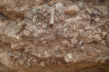 Yacimiento Cueva Fantasma - Ical