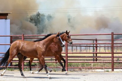 Incendio en Navatejera (León)